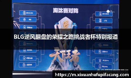 77体育电脑版
