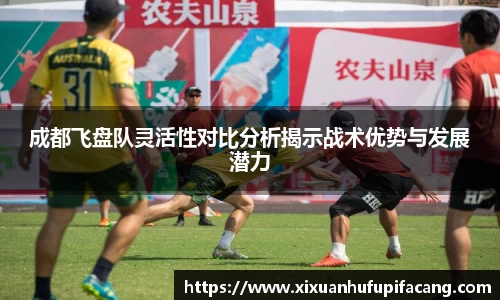 77体育电脑版