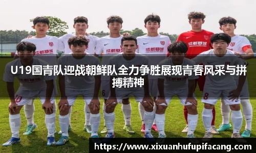 77体育电脑版