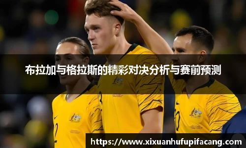 77体育app下载官网