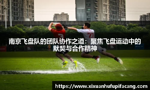 77体育电脑版