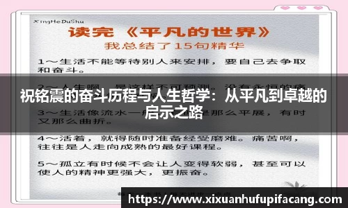 77体育电脑版
