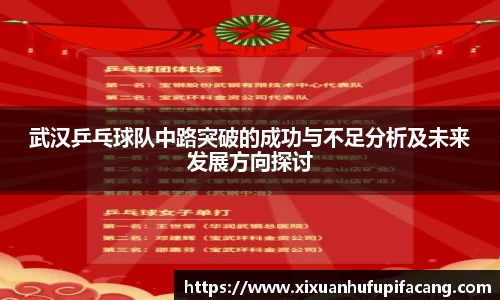 武汉乒乓球队中路突破的成功与不足分析及未来发展方向探讨