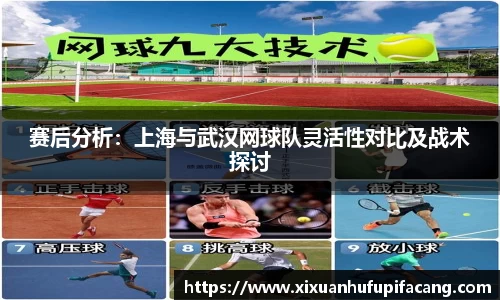 77体育电脑版