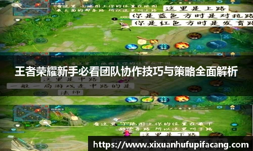 77体育官网